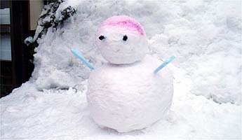 130306yukidaruma.jpg(15762 byte)