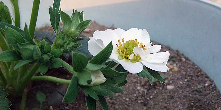 250515itigo.jpg(56902 byte)