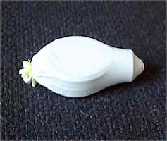 bousui02.jpg(15961 byte)