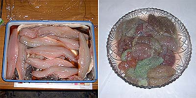 hokke07.jpg(36215 byte)