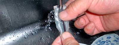 sayori04.jpg(19221 byte)