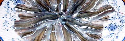 sayori06.jpg(26467 byte)