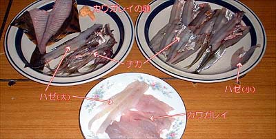 tikafry_02.jpg(32132 byte)