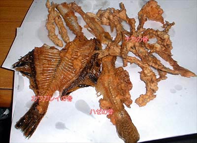 tikafry_05.jpg(27293 byte)