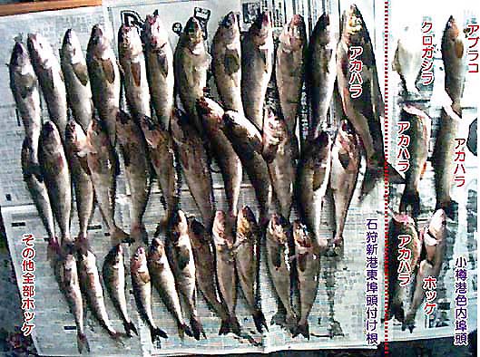 釣果