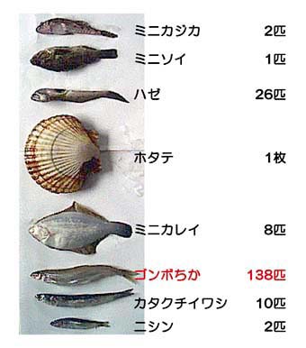魚の写真