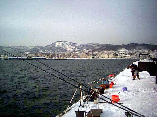 本日の釣り座