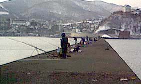 根本方向