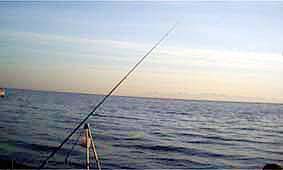 混んでいるので1本出した竿