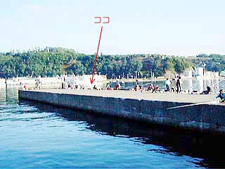 小樽色内埠頭
