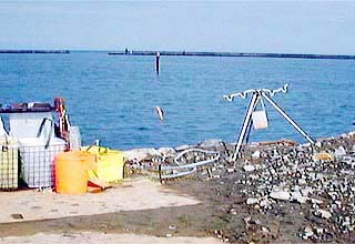 三種の魚