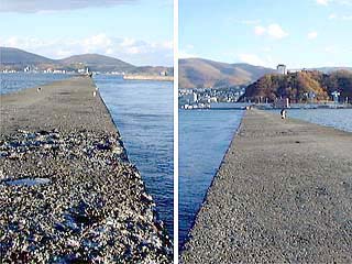 釣り座の沖側と基部側