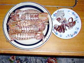 シャコとカイダコのゆでたもの