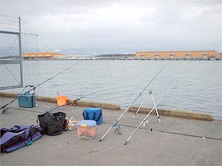 今回の釣り座