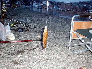 070407abu.jpg(39458 byte)