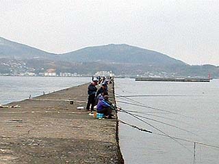 070407kaeri.jpg(21640 byte)
