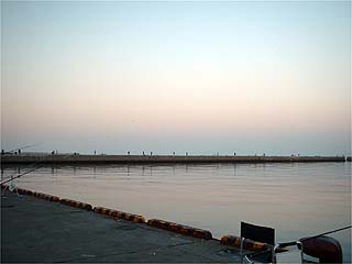 Mkhg