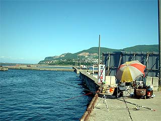 勝納右端の右端
