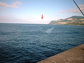 単三電池2本の飛ばし浮き