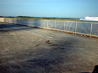 フェンス前左側