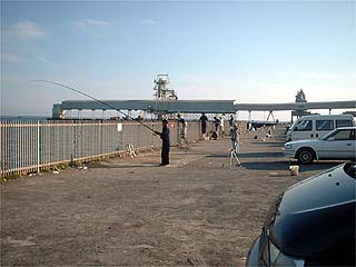 フェンス前右側