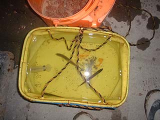 水汲み用バッカン