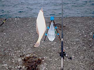 釣り座の右側
