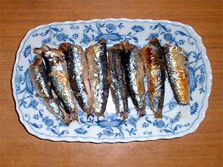 カタクチイワシ