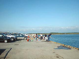 釣り座のフェンス側