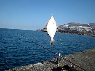 090402karei01.jpg(20696 byte)