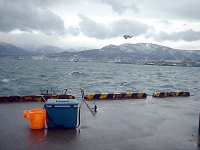 カモメの飛ぶ釣り座