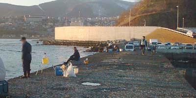 南防波堤のチカ釣り