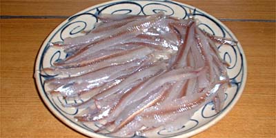チカの刺身