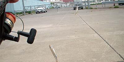 チカのダブル