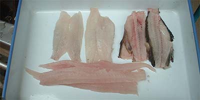 刺身