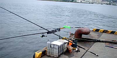 ����̒ނ��