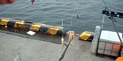 ���~����d�|��