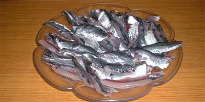 カタクチ鰯の刺身