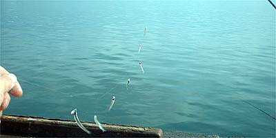 091003katakuti.jpg(16444 byte)