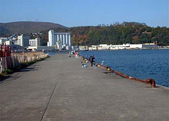 091016hidari.jpg(21099 byte)