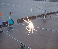 091101kani.jpg(14664 byte)
