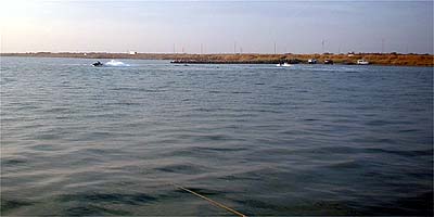 091108suijo.jpg(17821 byte)