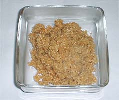 091113tamagoni.jpg(16397 byte)