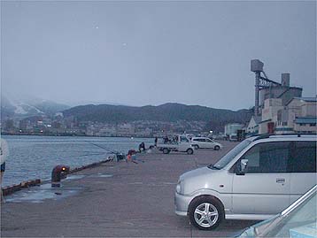 091201umayahidari.jpg(20134 byte)