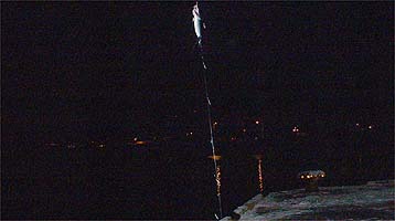 100108yoru02.jpg(14512 byte)