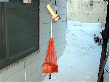 100124makie.jpg(22458 byte)