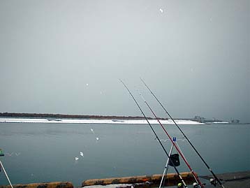 100124taigann.jpg(15183 byte)