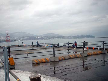 100401ferry.jpg(21405 byte)