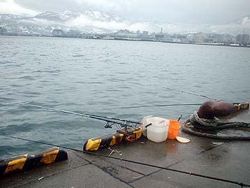 100401turiza.jpg(25763 byte)
