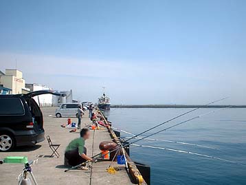 100427hidari.jpg(20658 byte)
